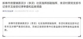 山东省新泰市宫里镇原灵沙（李灵）社区指挥部副指挥、李灵村原党支部书记李天玉接受审查调查