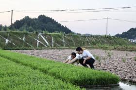 四川安居：“引育用留”激发西部计划志愿者活力  第2张