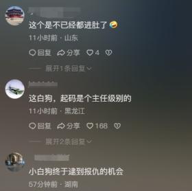 突发！狗子失控攻击主人，男子机智制服避免悲剧