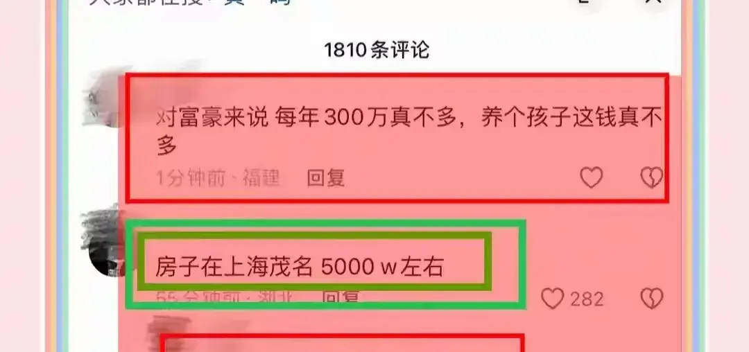 黄一鸣暗示王健林主动联系她，被曝得5000万房子每年300万抚养费  第5张