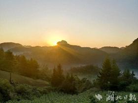 「寻美鹤峰」邬阳: 自然之美绽光