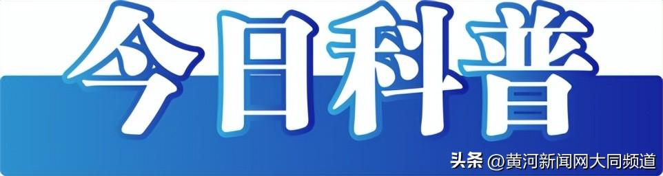 今日辟谣（2024年9月11日）