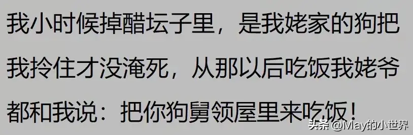 果然狗狗是最有灵性的动物！网友：救了一家子后，被专门列入祖坟