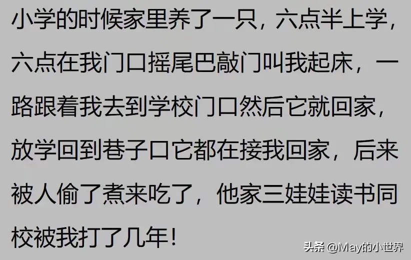 果然狗狗是最有灵性的动物！网友：救了一家子后，被专门列入祖坟  第3张