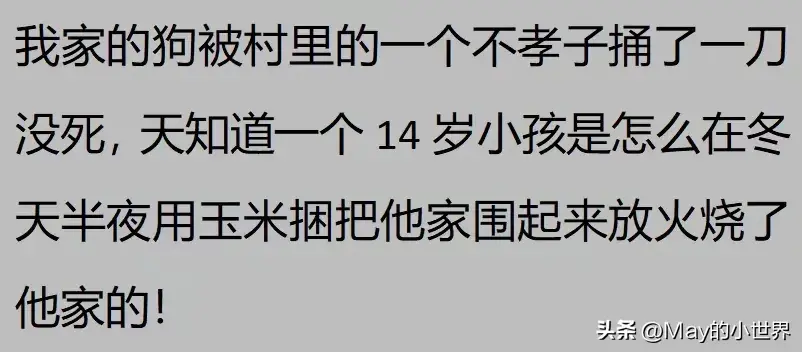 果然狗狗是最有灵性的动物！网友：救了一家子后，被专门列入祖坟  第4张