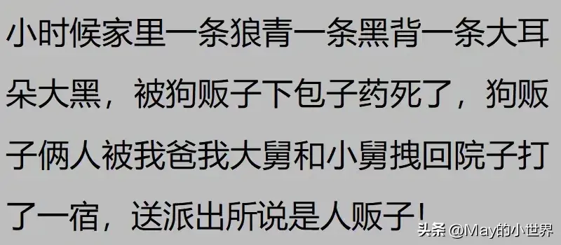 果然狗狗是最有灵性的动物！网友：救了一家子后，被专门列入祖坟  第6张