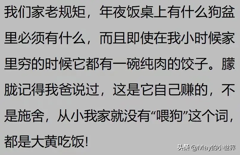 果然狗狗是最有灵性的动物！网友：救了一家子后，被专门列入祖坟