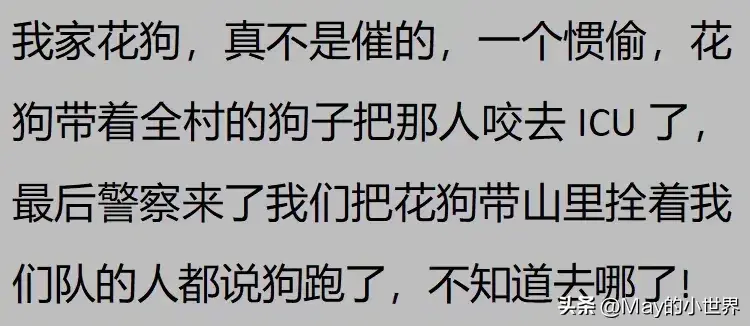 果然狗狗是最有灵性的动物！网友：救了一家子后，被专门列入祖坟  第10张