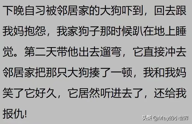 果然狗狗是最有灵性的动物！网友：救了一家子后，被专门列入祖坟