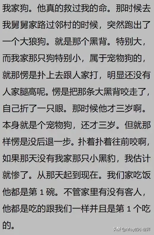 果然狗狗是最有灵性的动物！网友：救了一家子后，被专门列入祖坟  第11张