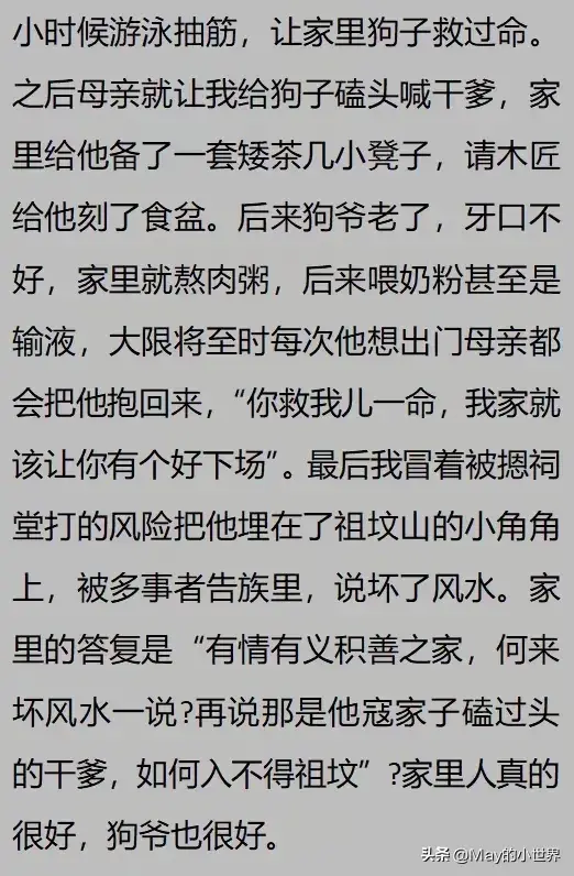 果然狗狗是最有灵性的动物！网友：救了一家子后，被专门列入祖坟  第14张