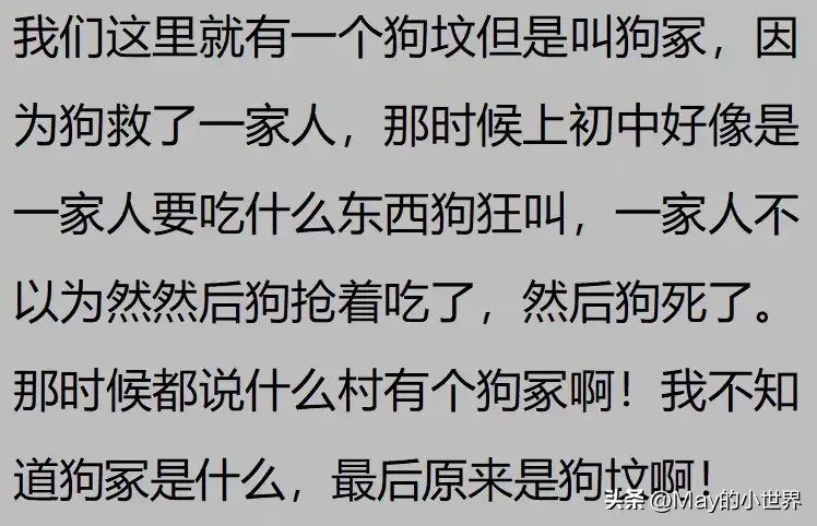 果然狗狗是最有灵性的动物！网友：救了一家子后，被专门列入祖坟  第15张