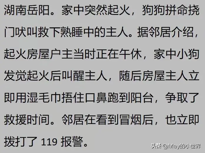 果然狗狗是最有灵性的动物！网友：救了一家子后，被专门列入祖坟  第17张