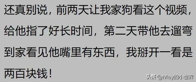 果然狗狗是最有灵性的动物！网友：救了一家子后，被专门列入祖坟  第19张