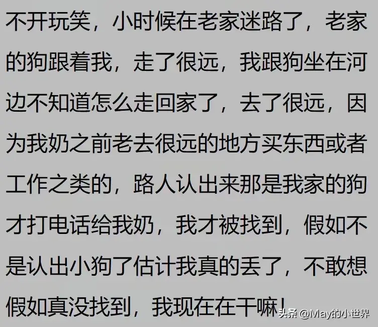 果然狗狗是最有灵性的动物！网友：救了一家子后，被专门列入祖坟  第21张