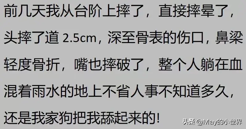 果然狗狗是最有灵性的动物！网友：救了一家子后，被专门列入祖坟  第24张