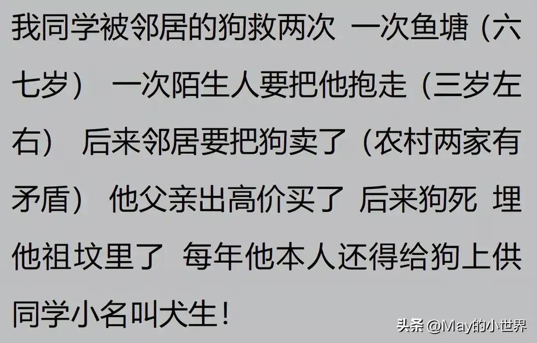 果然狗狗是最有灵性的动物！网友：救了一家子后，被专门列入祖坟  第27张