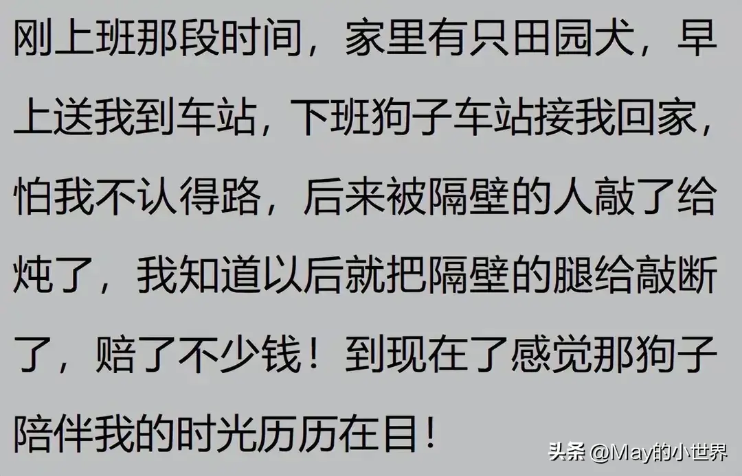 果然狗狗是最有灵性的动物！网友：救了一家子后，被专门列入祖坟  第26张