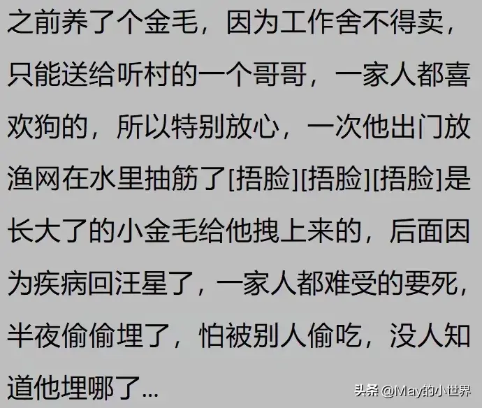 果然狗狗是最有灵性的动物！网友：救了一家子后，被专门列入祖坟  第28张