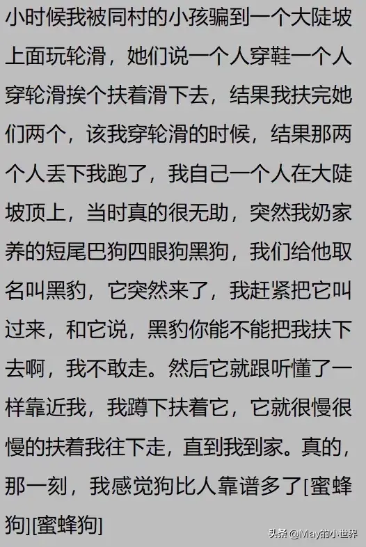 果然狗狗是最有灵性的动物！网友：救了一家子后，被专门列入祖坟  第29张