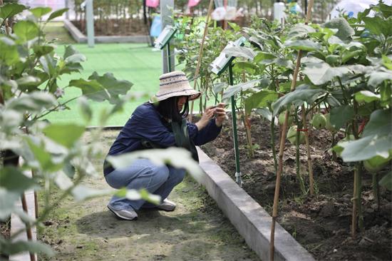 中国农民丰收节浙江主场活动在杭举办  第5张